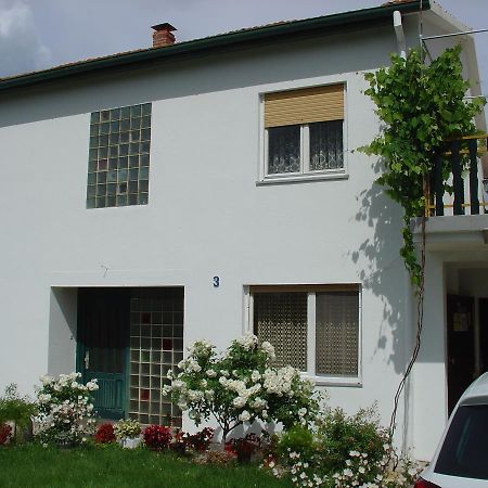Apartments And Rooms Mirjana Bibinje Extérieur photo